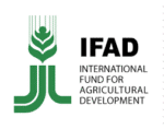 FIDA