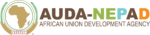 Logo AUDA-NEPAD